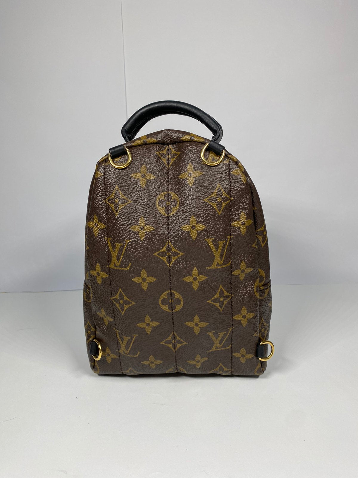 Louis Vuitton Palm Springs Mini Monogram