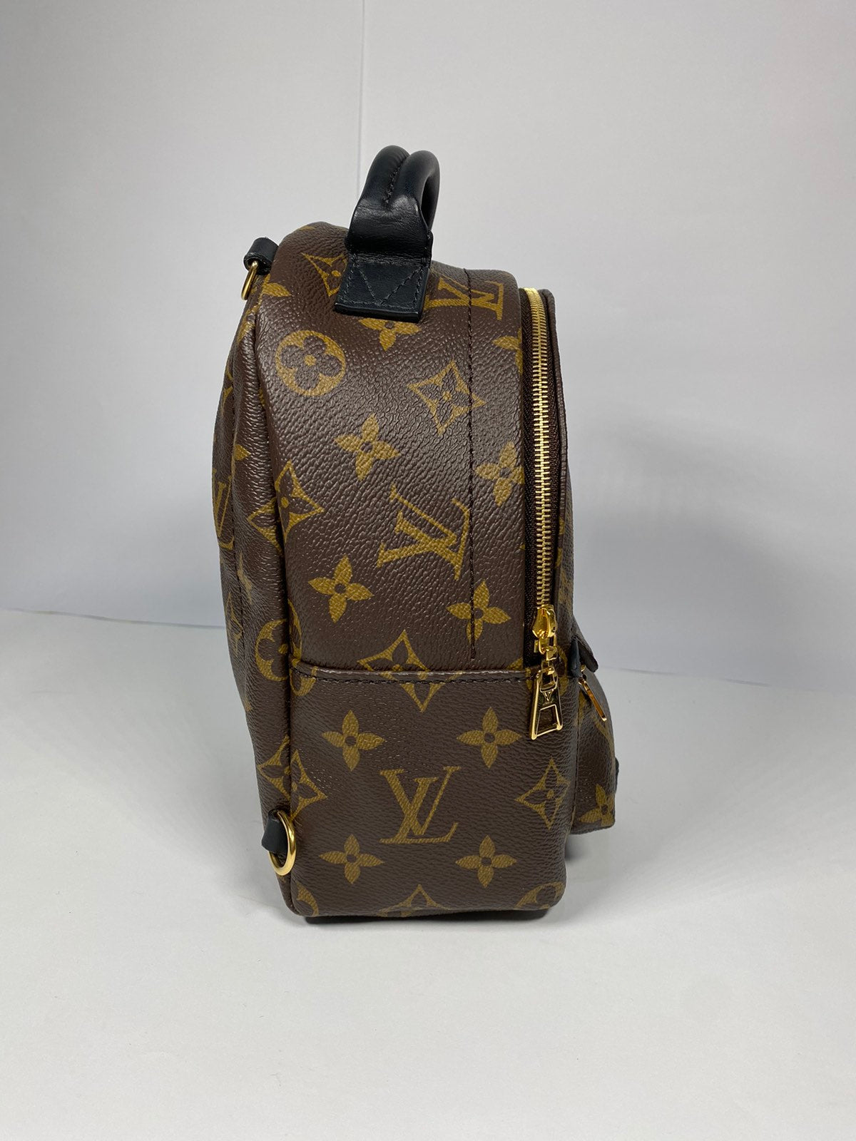 Louis Vuitton Palm Springs Mini Monogram