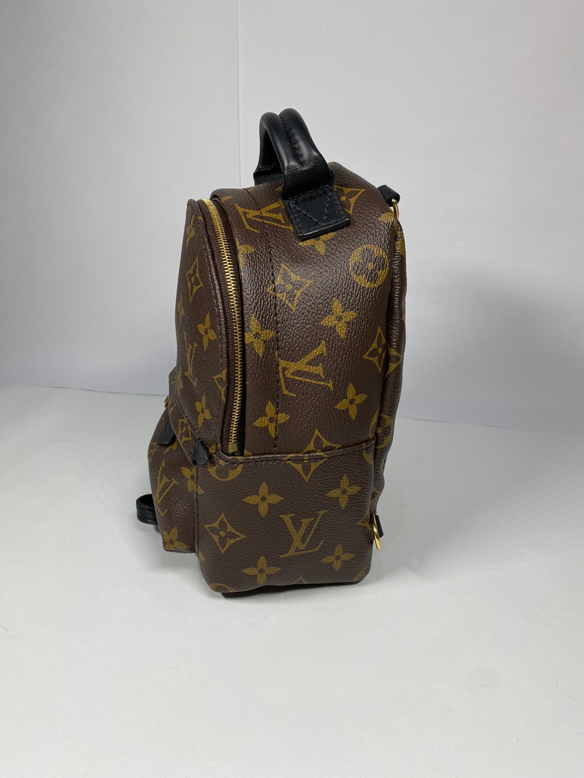 Louis Vuitton Palm Springs Mini Monogram