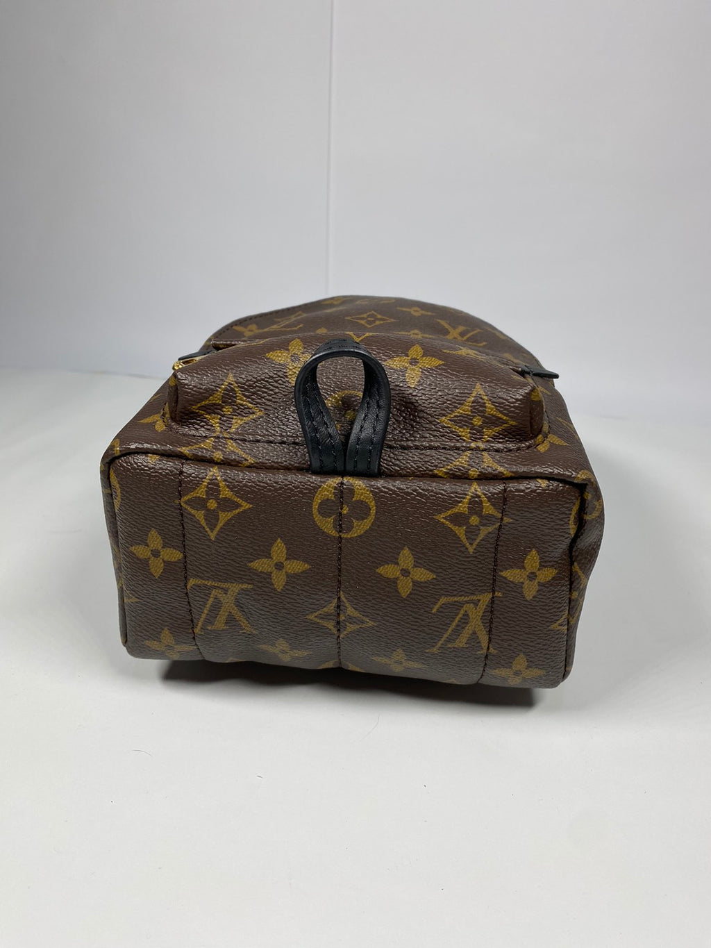 Louis Vuitton Palm Springs Mini Monogram