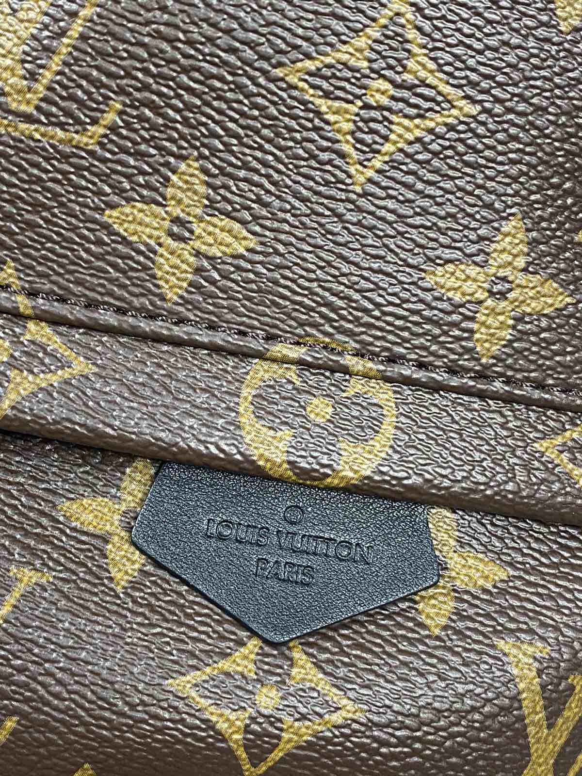 Louis Vuitton Palm Springs Mini Monogram