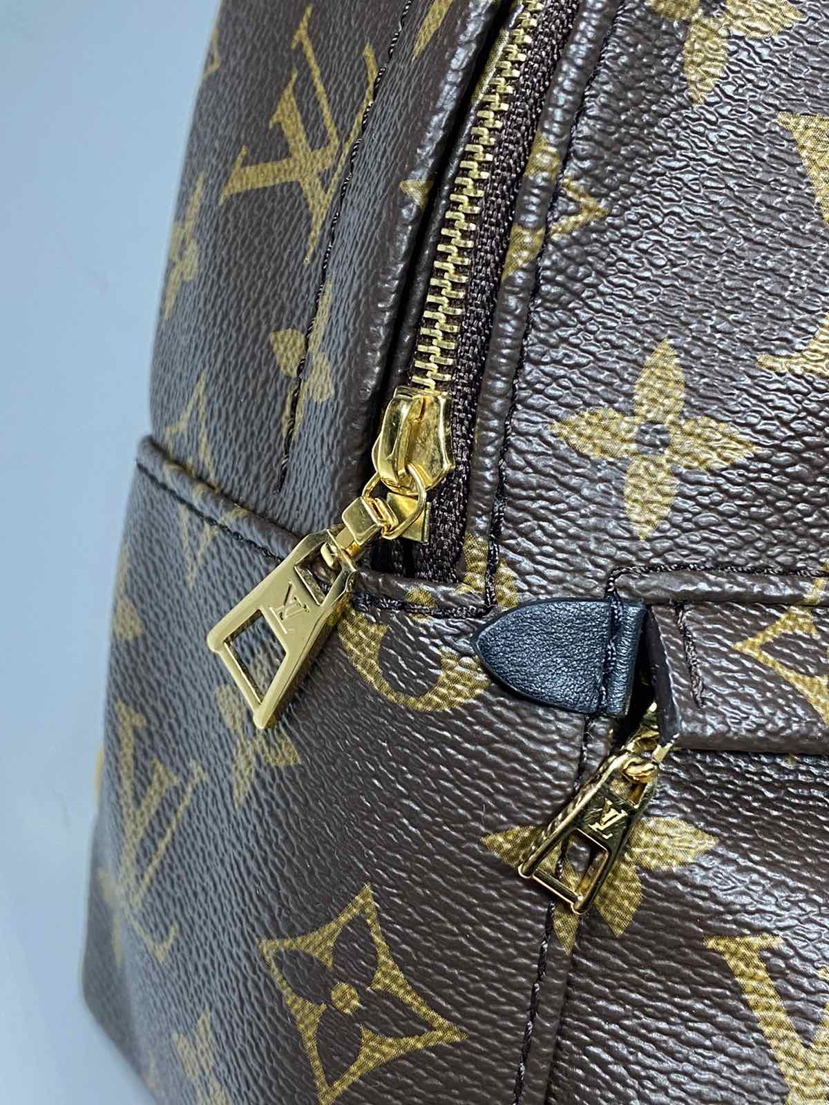 Louis Vuitton Palm Springs Mini Monogram