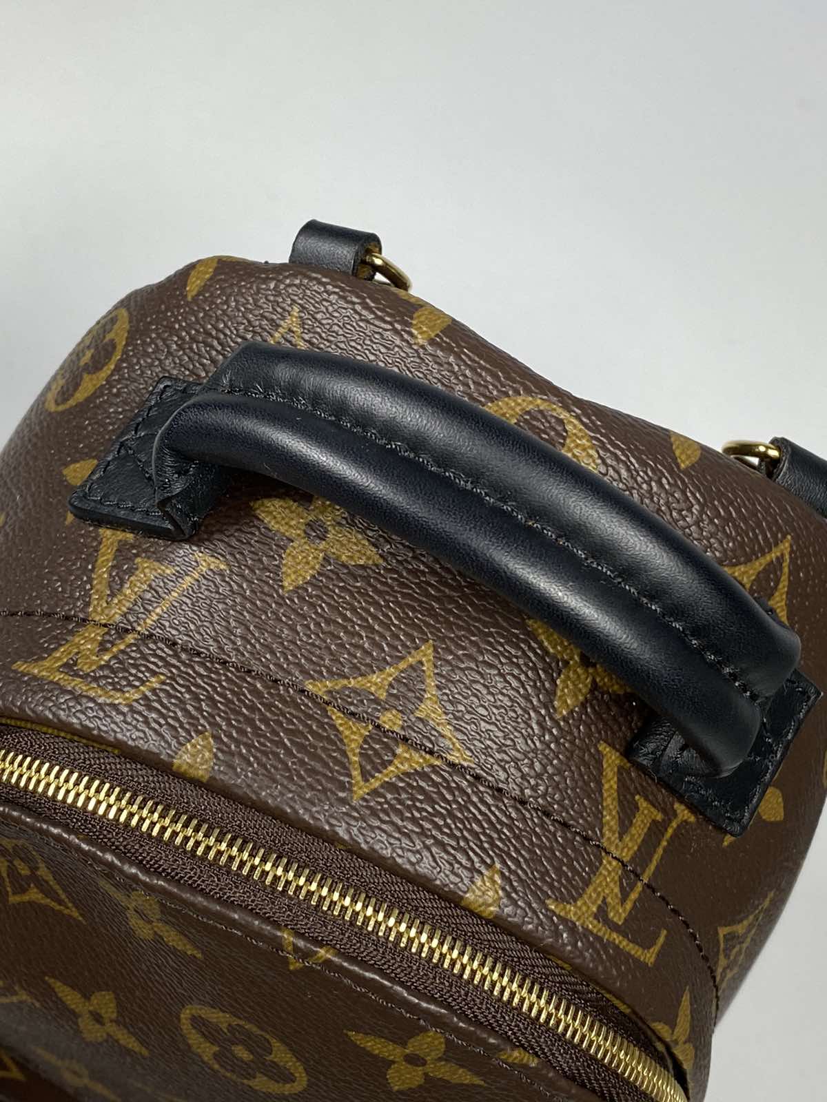 Louis Vuitton Palm Springs Mini Monogram