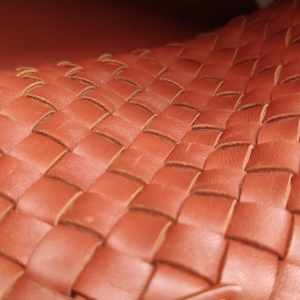 Bottega Veneta Cabat Medium Rust