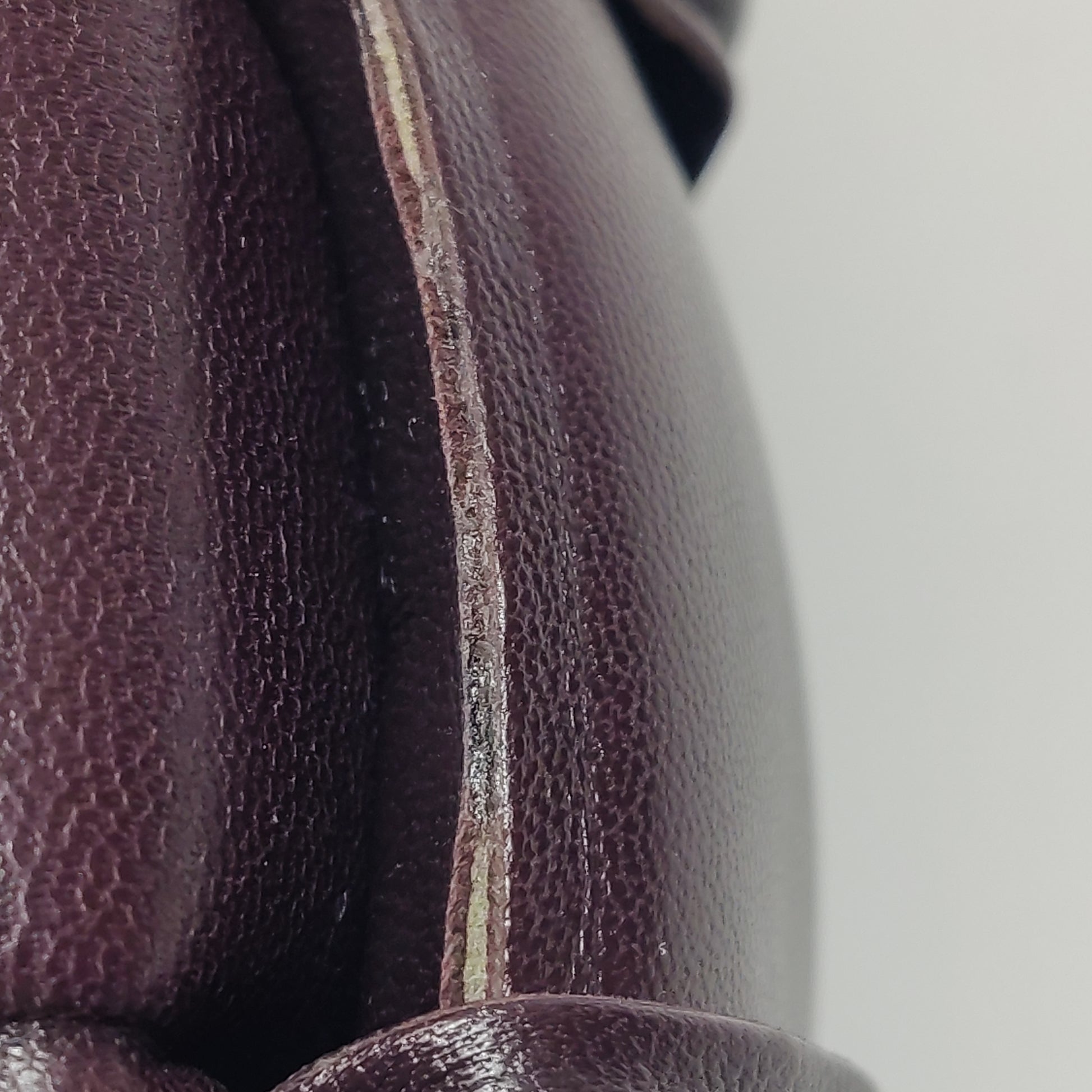 Bottega Veneta Padded Cassette Grape