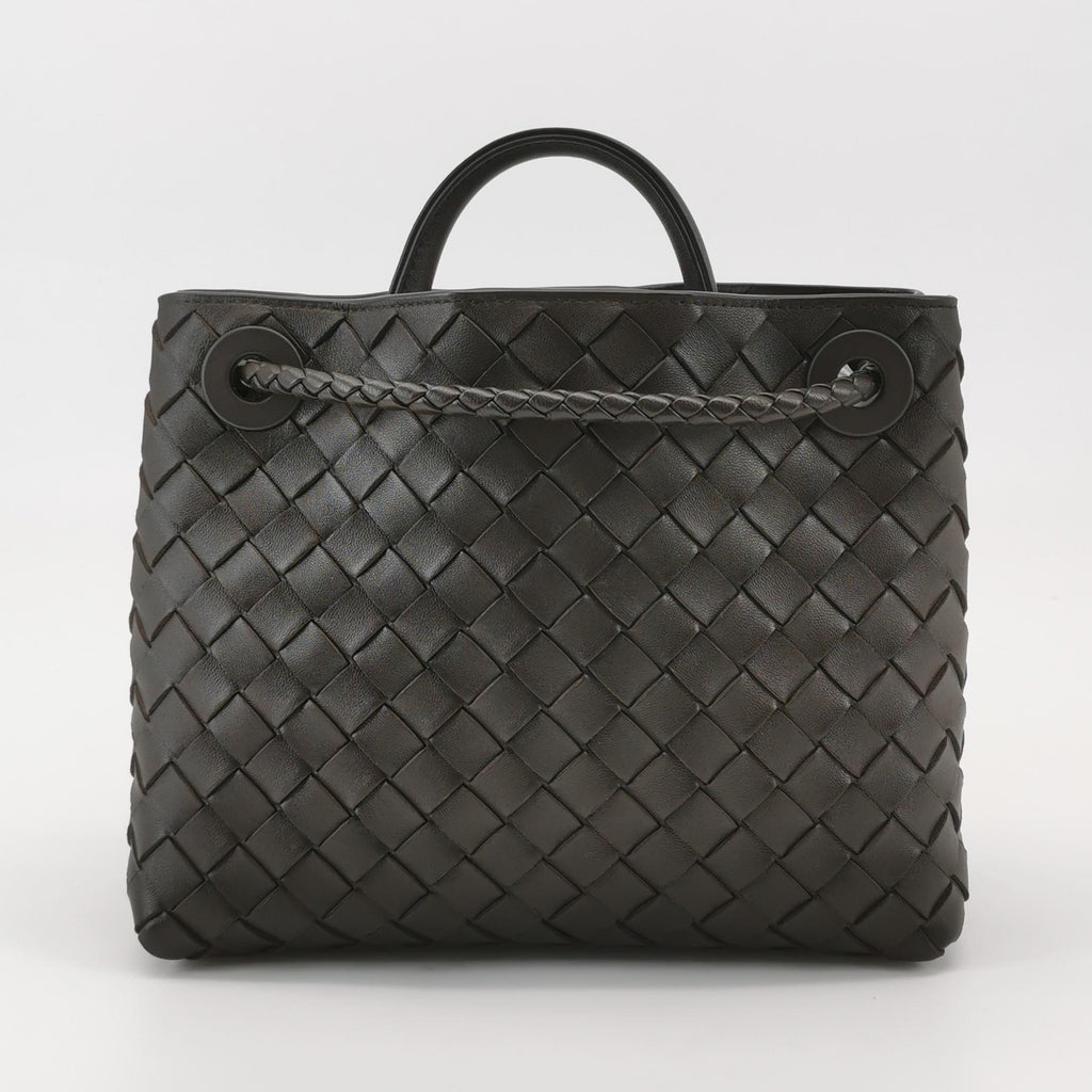 Bottega Veneta Andiamo Small Fondant