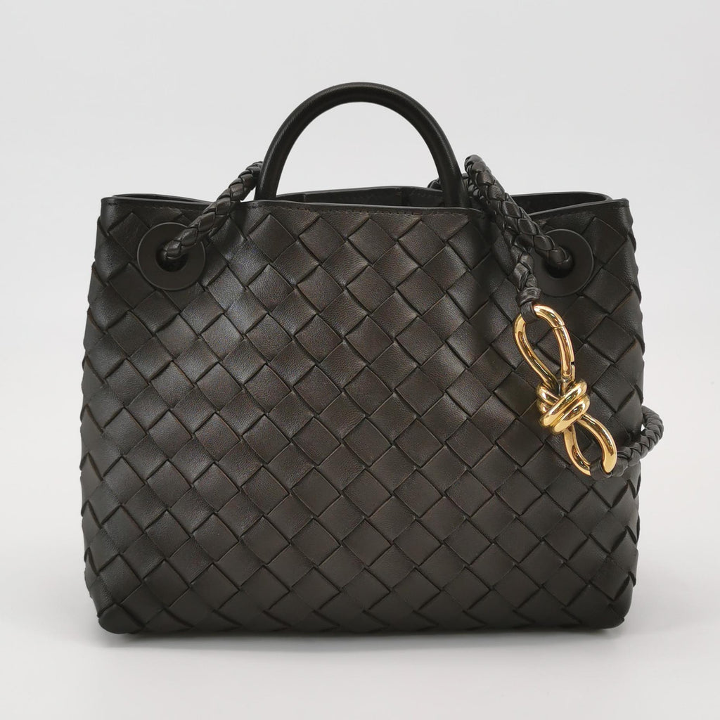 Bottega Veneta Andiamo Small Fondant