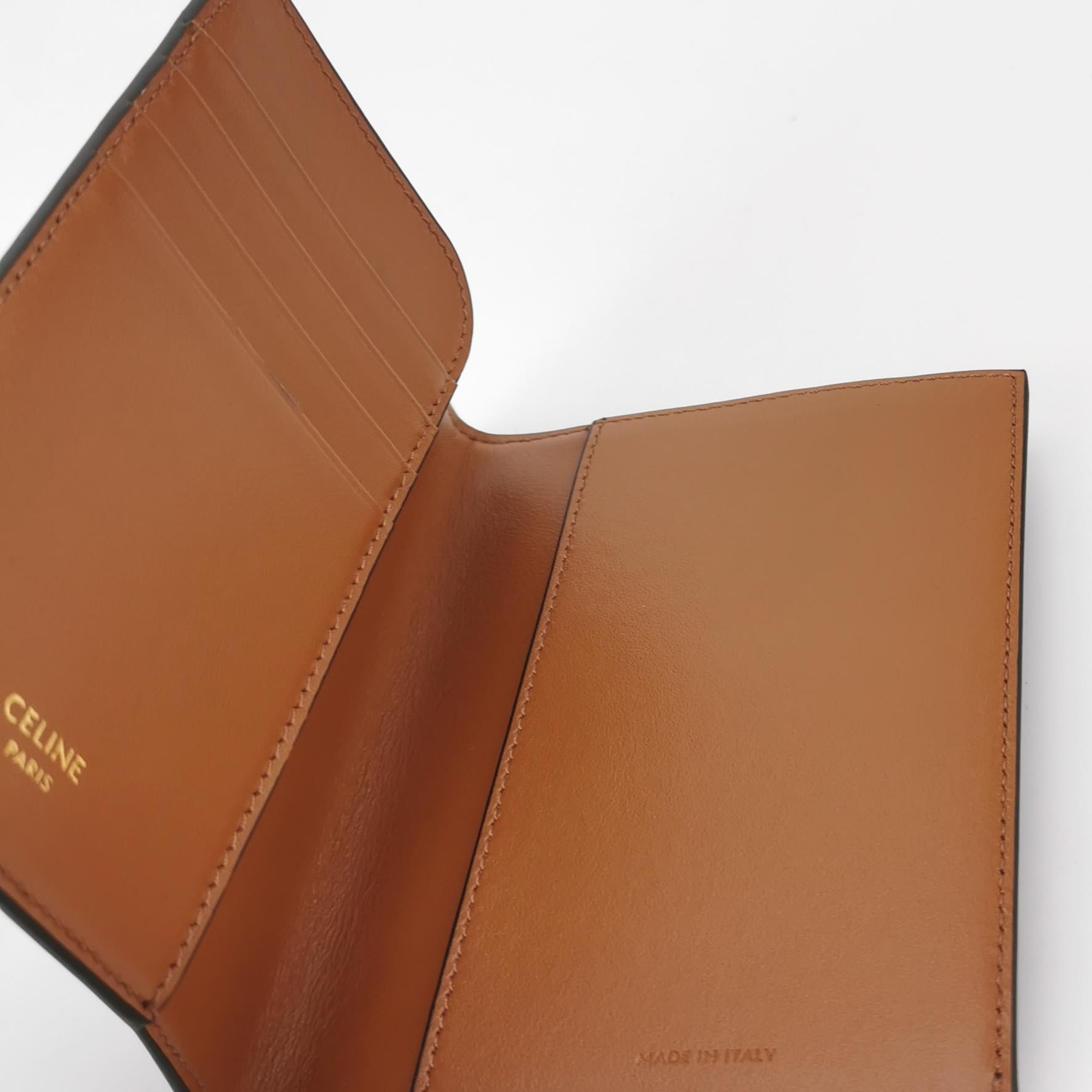 Celine Triomphe Canvas Passport Cover