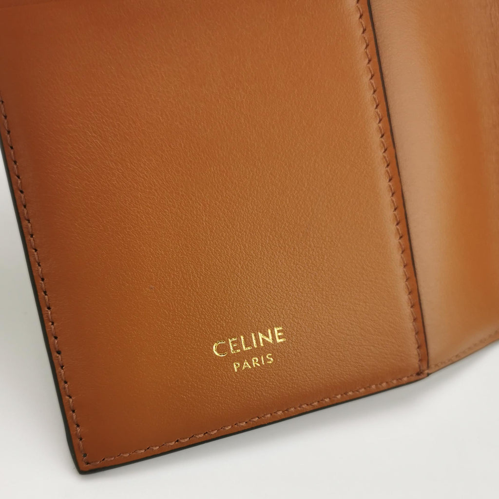 Celine Triomphe Canvas Passport Cover