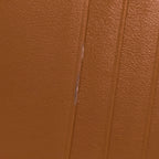 Celine Triomphe Canvas Passport Cover