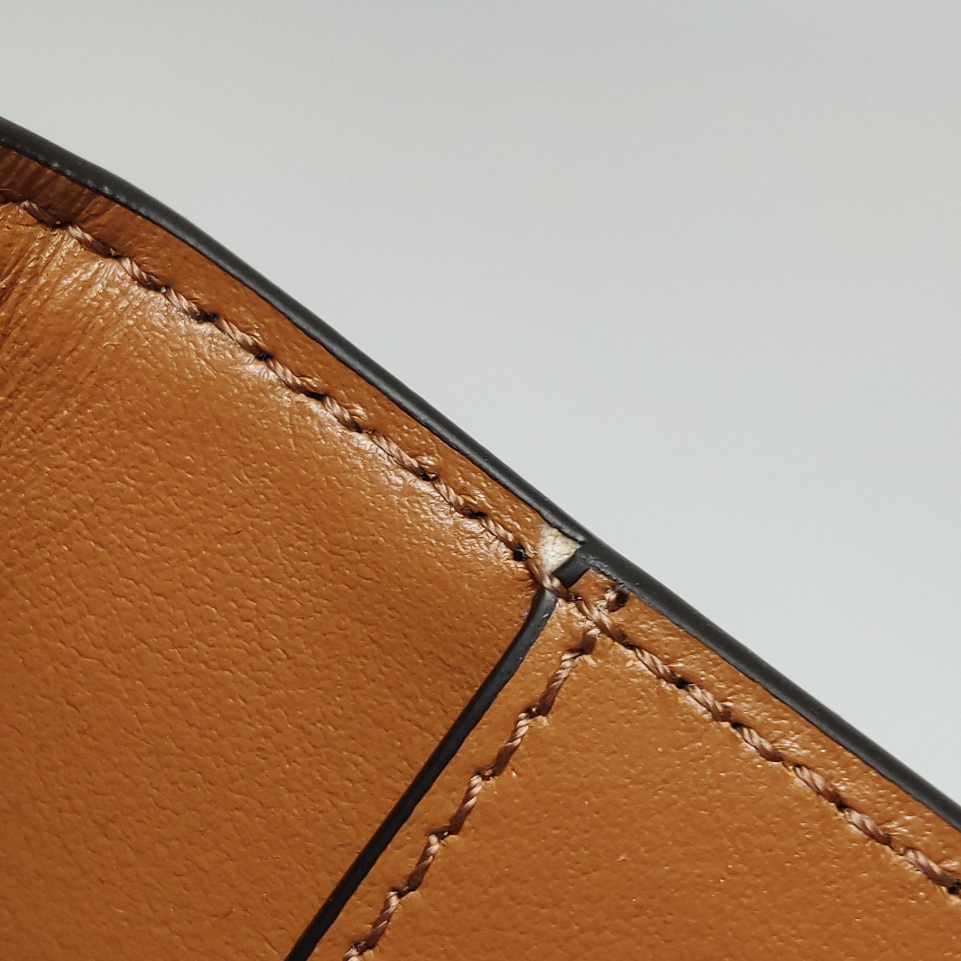Celine Triomphe Canvas Passport Cover