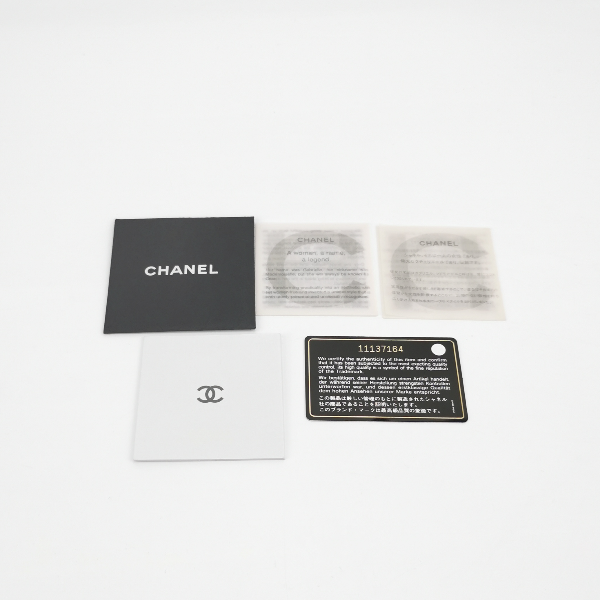 Chanel Wild Stitch Single Flap Beige