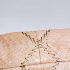 Chanel Ultra Stitch Flap East West Snakeskin Beige