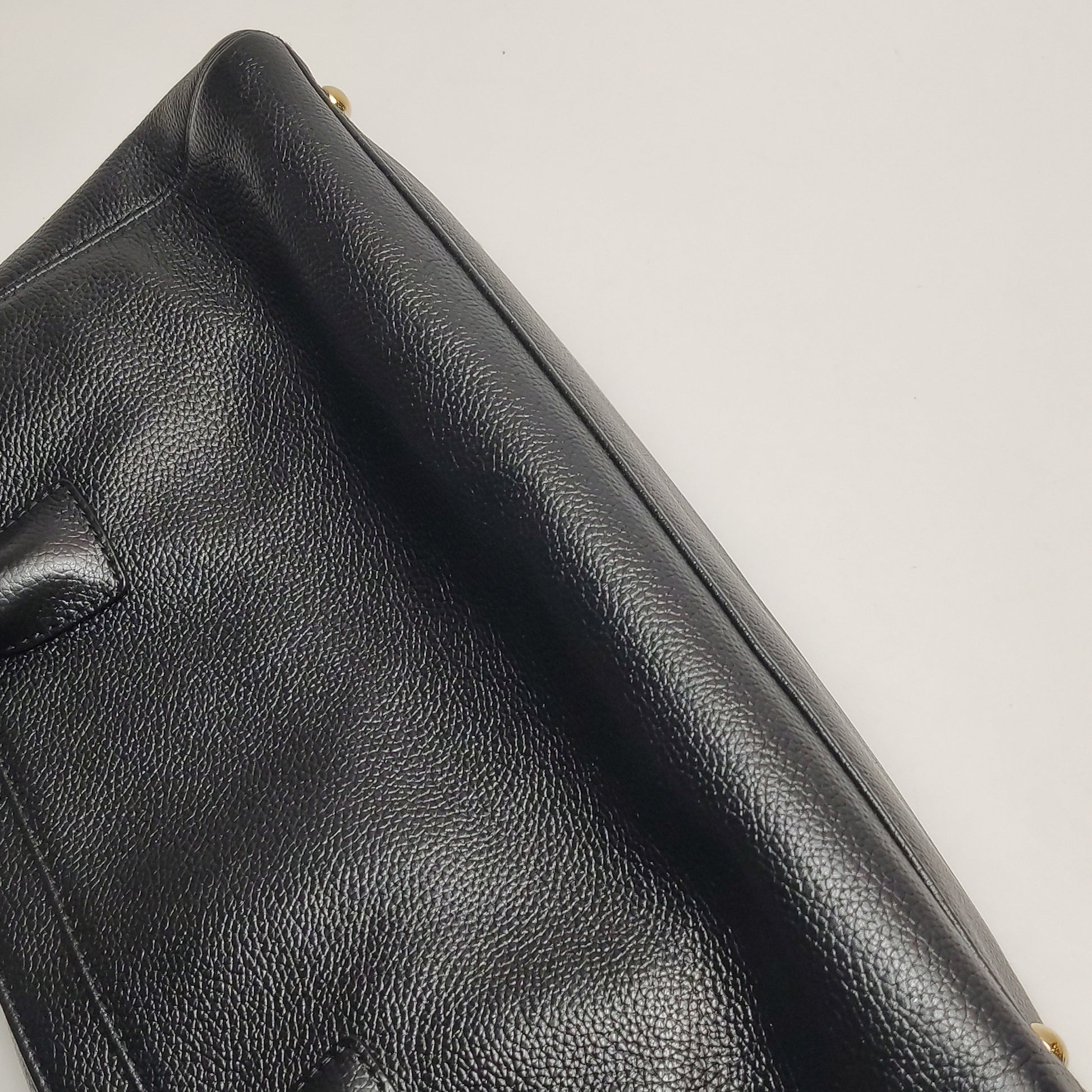 Chanel Cerf Executive Shopper Tote East West