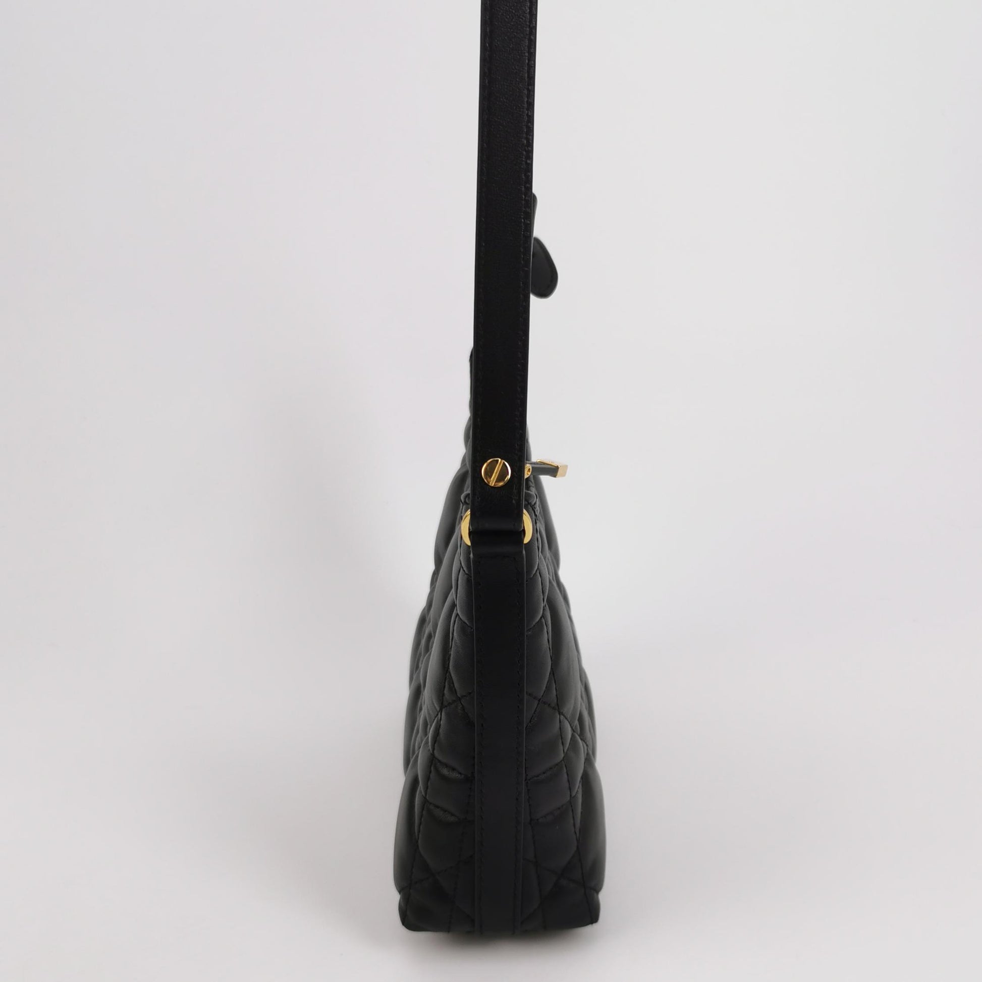 Dior Miss Caro Diorling Mini