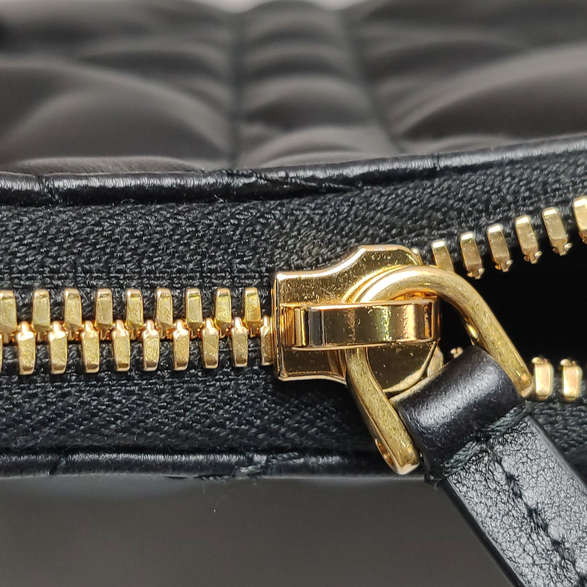 Dior Miss Caro Diorling Mini
