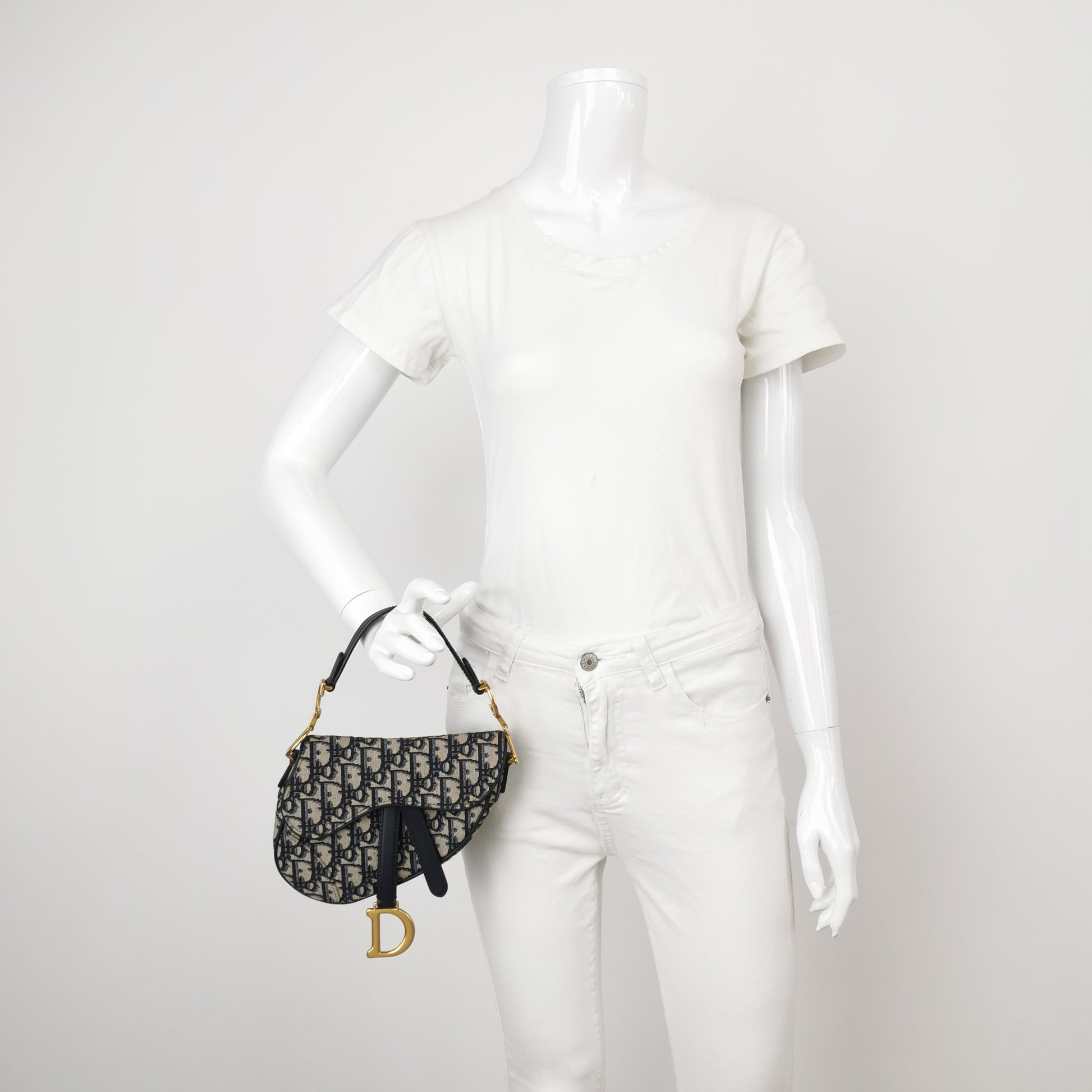 Dior Saddle Bag Mini Oblique Canvas