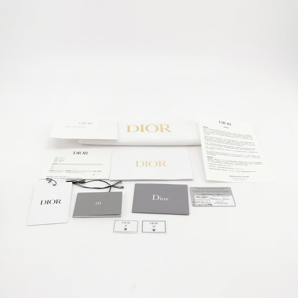 Dior Saddle Bag Mini Oblique Canvas