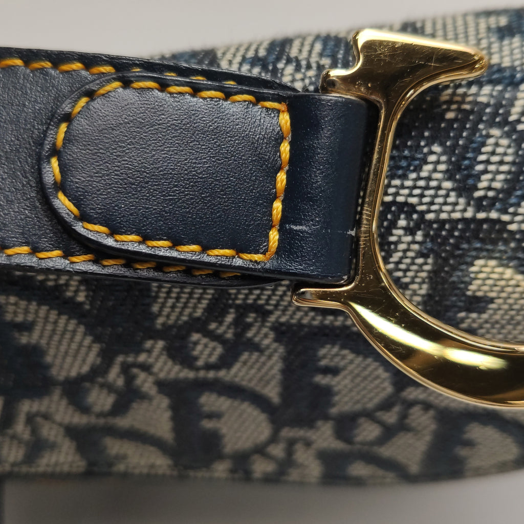 Dior Saddle Bag Medium Oblique Vintage