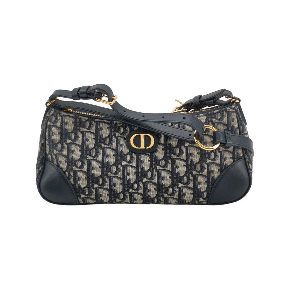 Dior 30 Montaigne Wanderlust Oblique Blue
