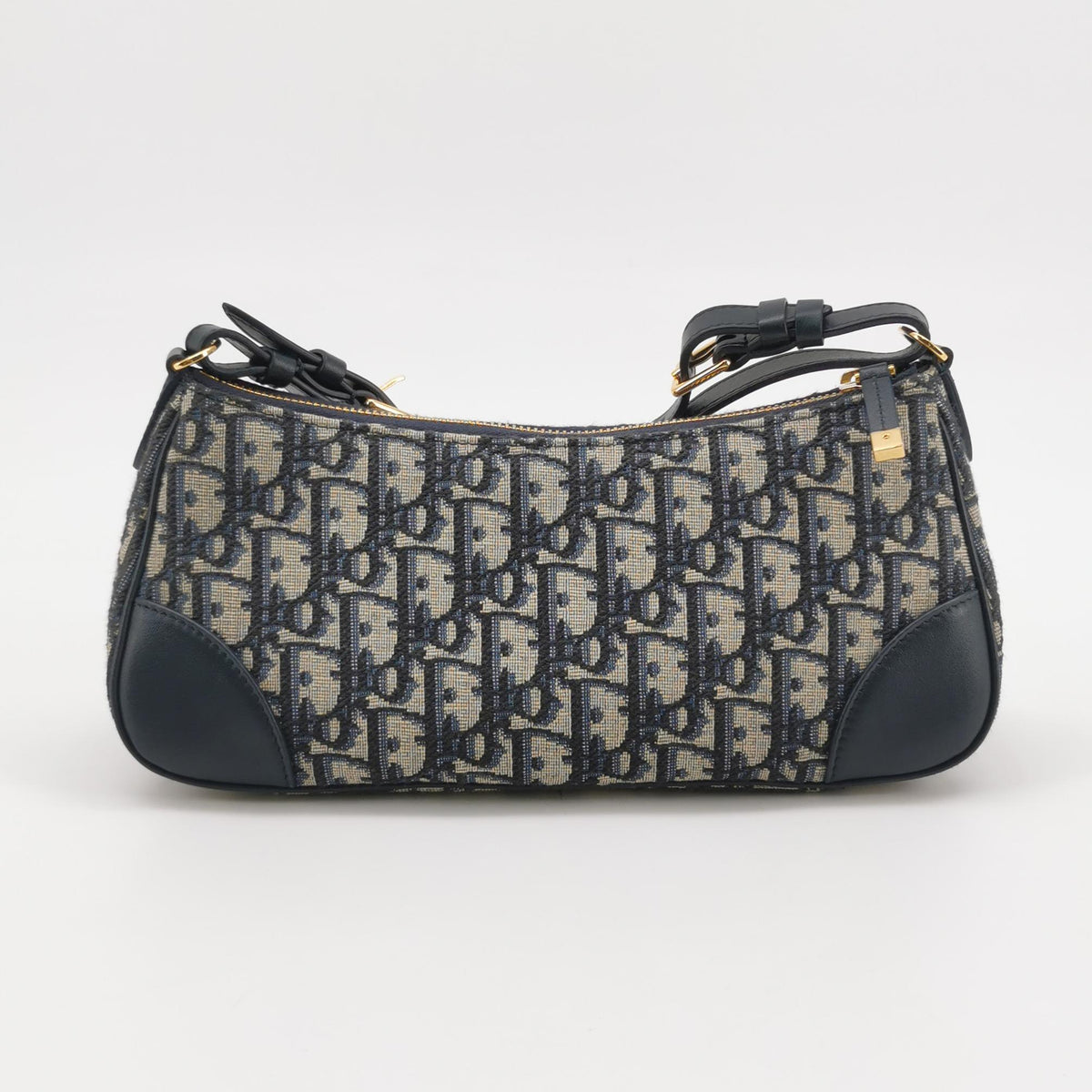 Dior 30 Montaigne Wanderlust Oblique Blue