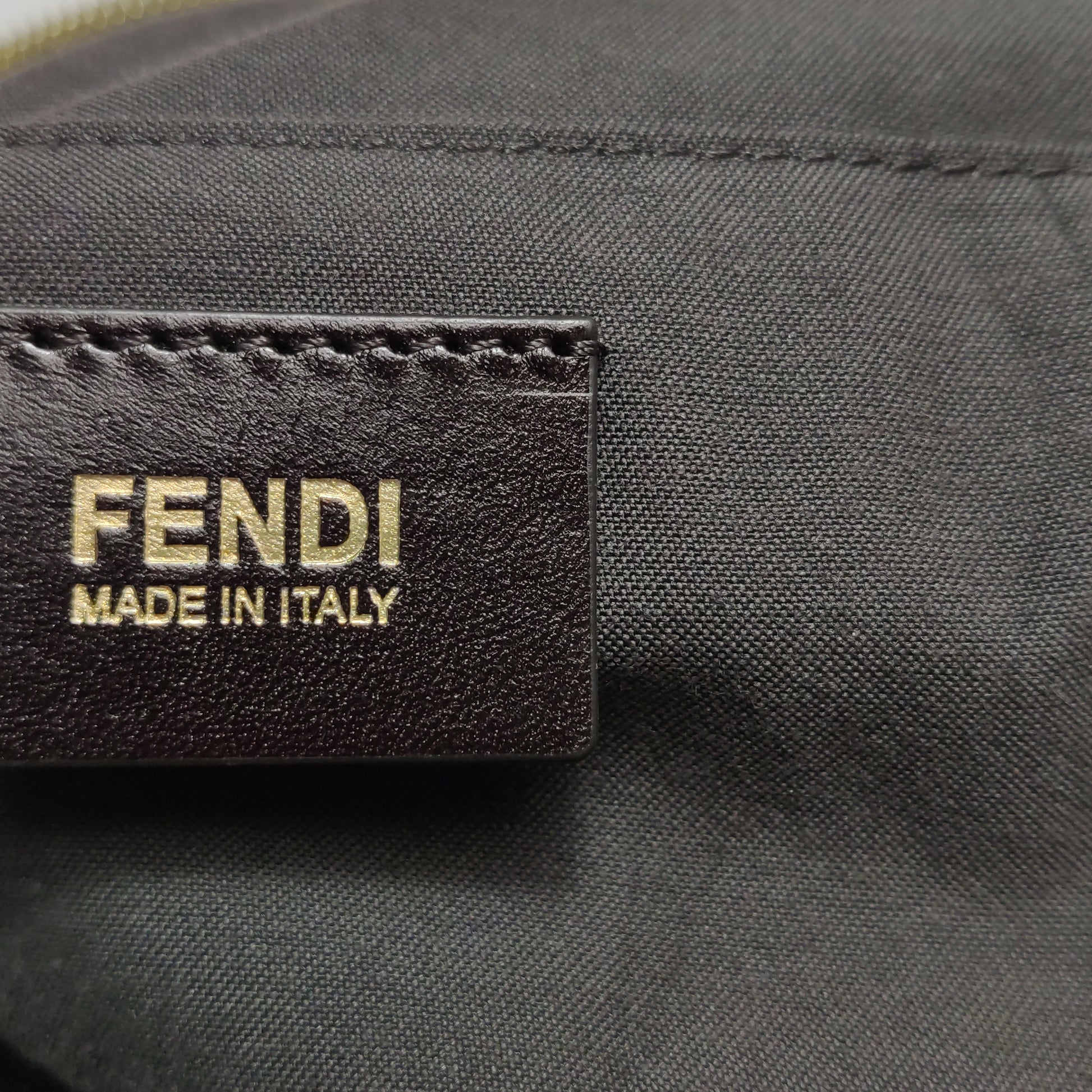 Fendi Zucchino Canvas Forever Hobo