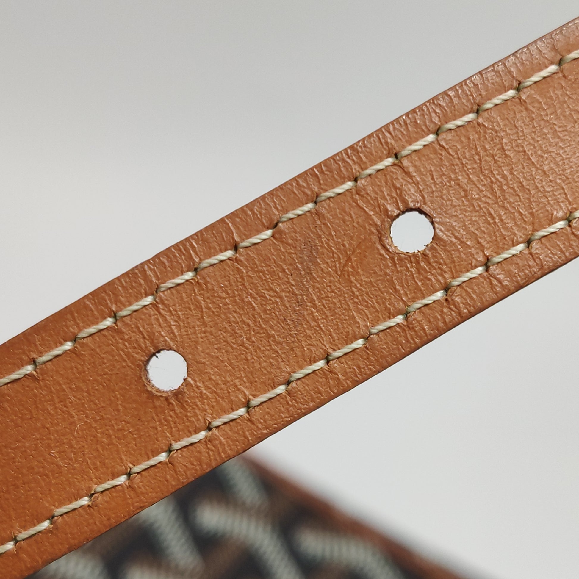 Goyard Cap Vert Crossbody Tan Noir