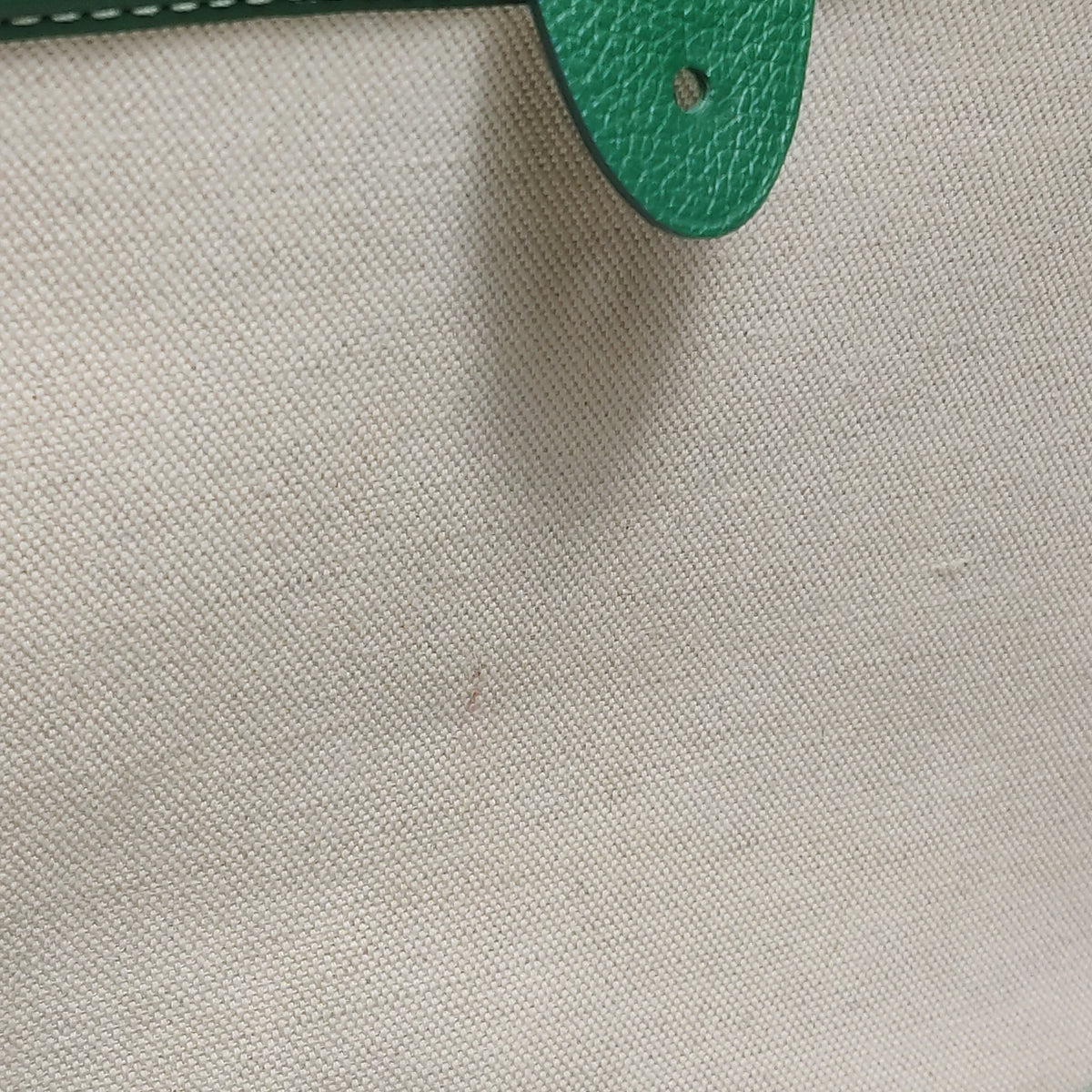 Goyard Artois PM Green