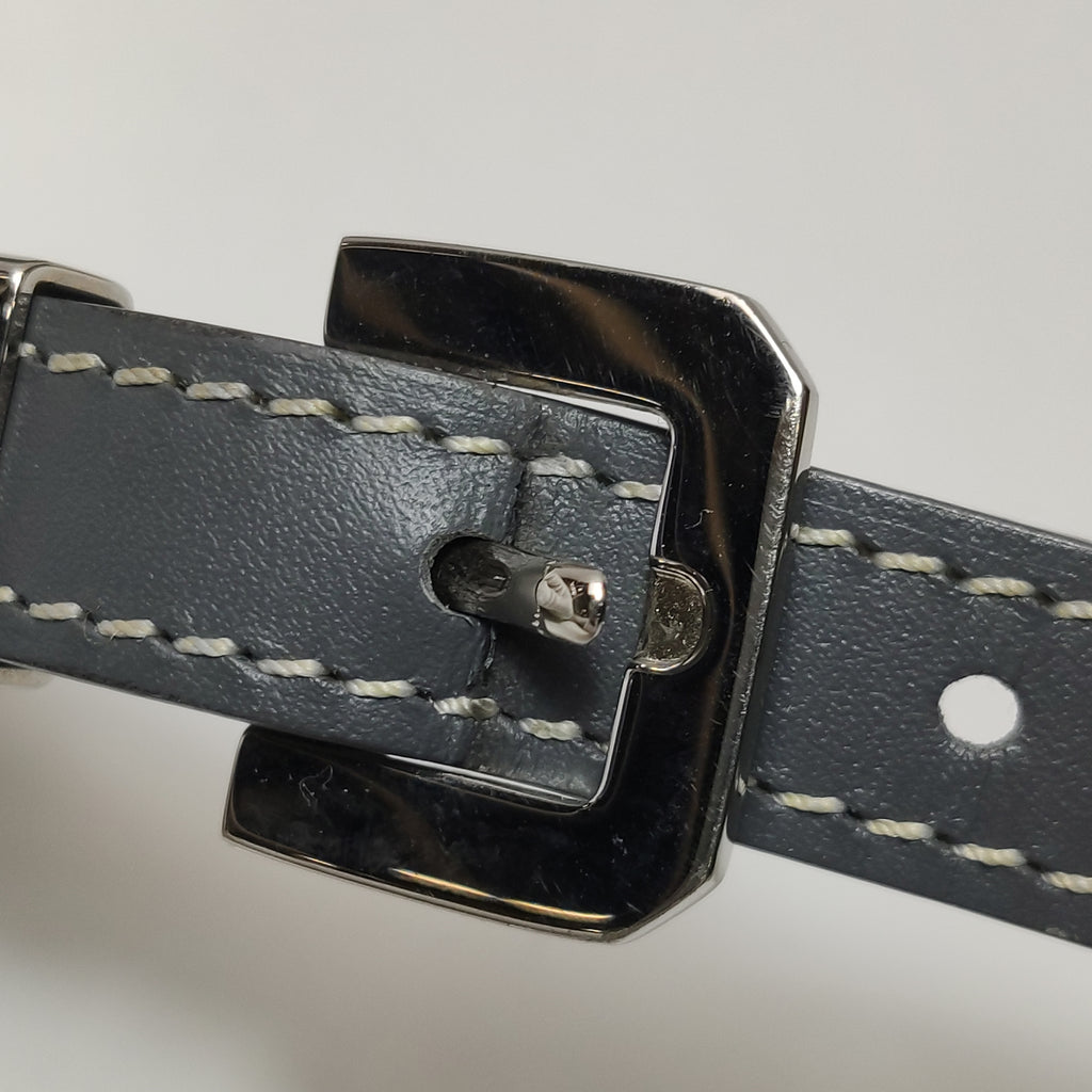 Goyard Cap Vert Crossbody Gray