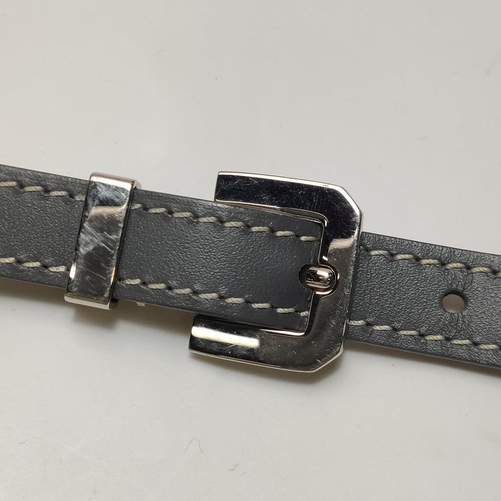 Goyard Cap Vert Crossbody Gray