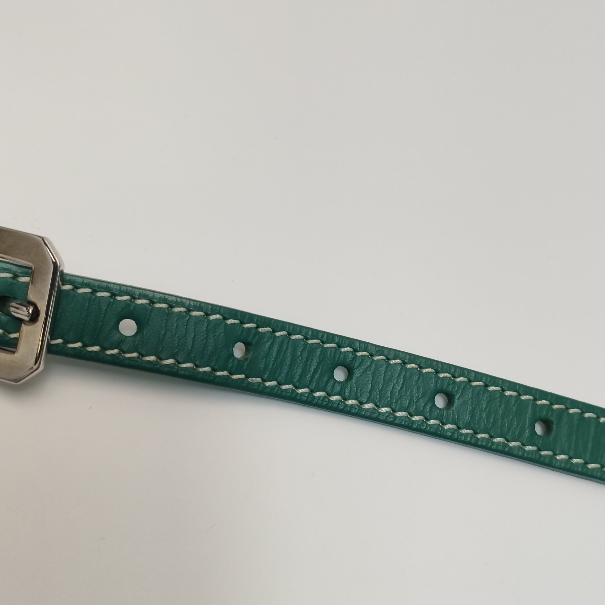 Goyard Cap Vert Crossbody Green