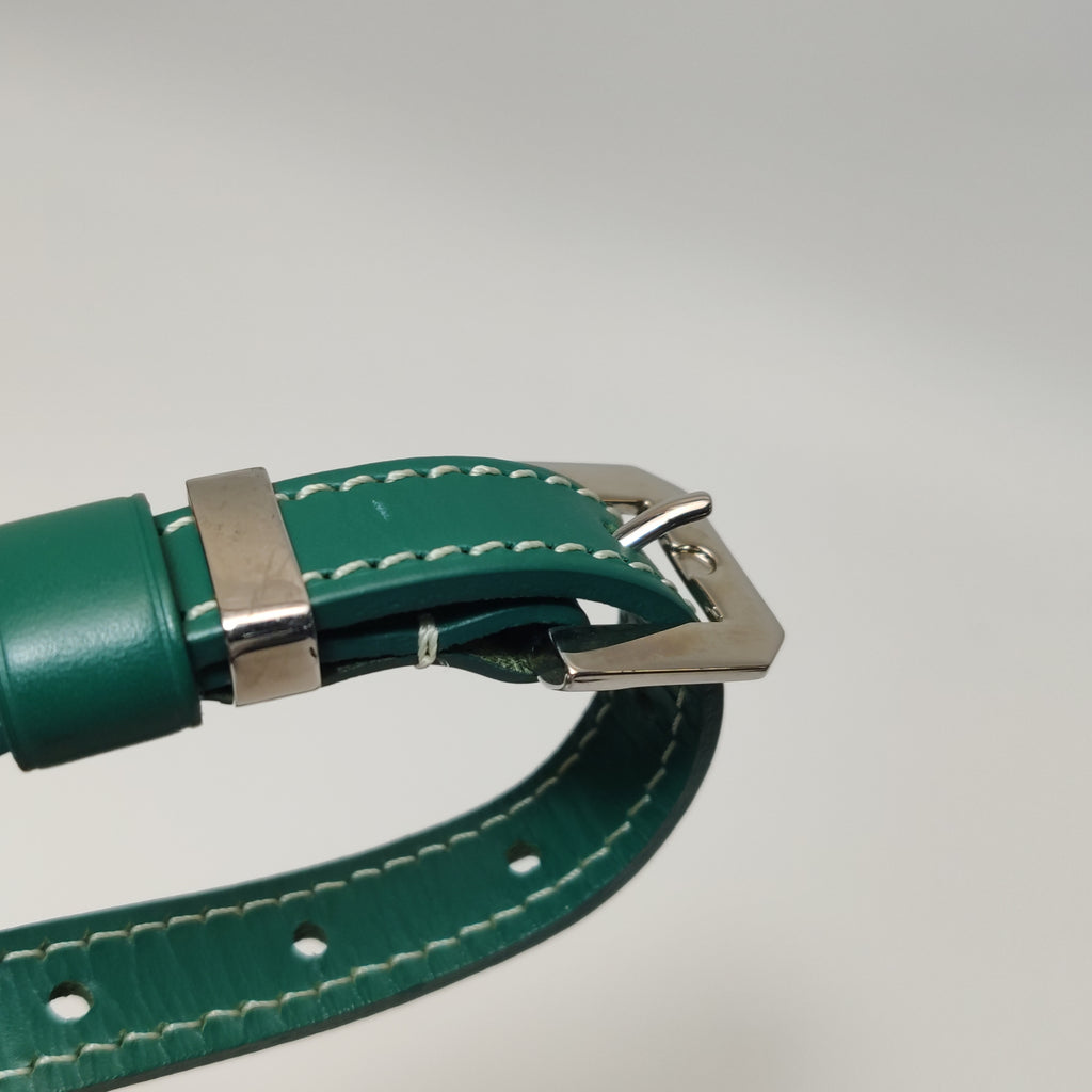 Goyard Cap Vert Crossbody Green