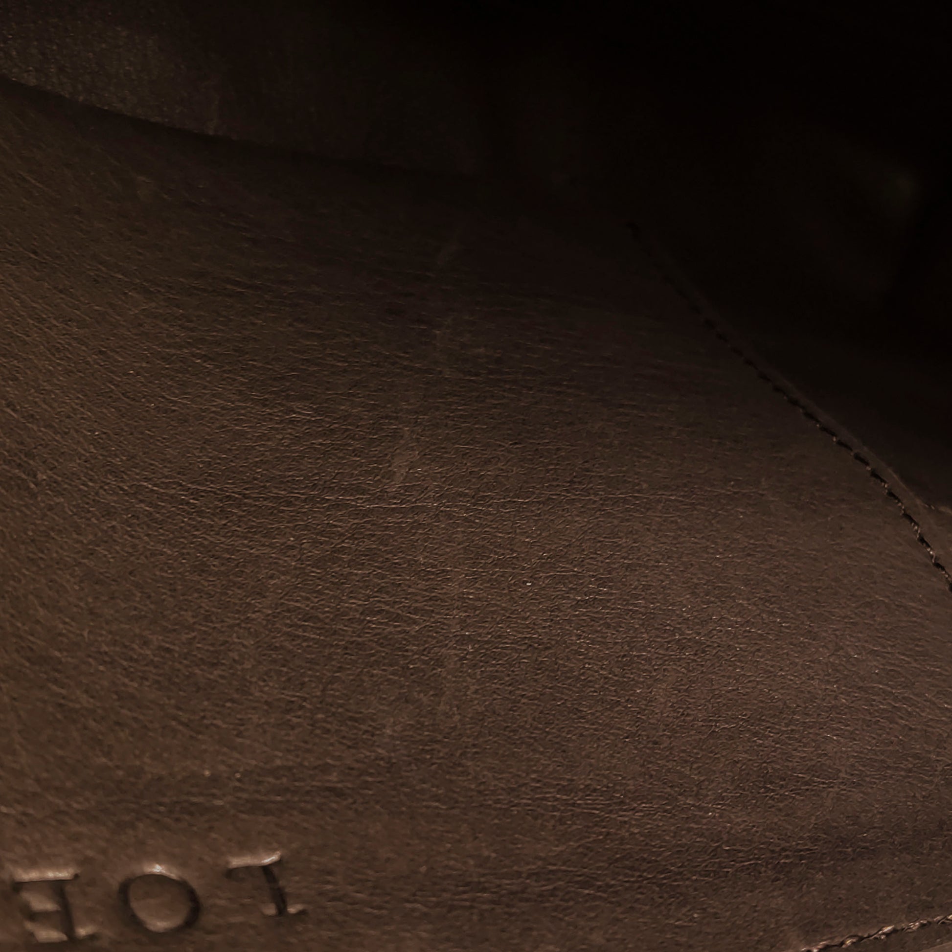Loewe Amazona Shoulder Bag Suede Brown