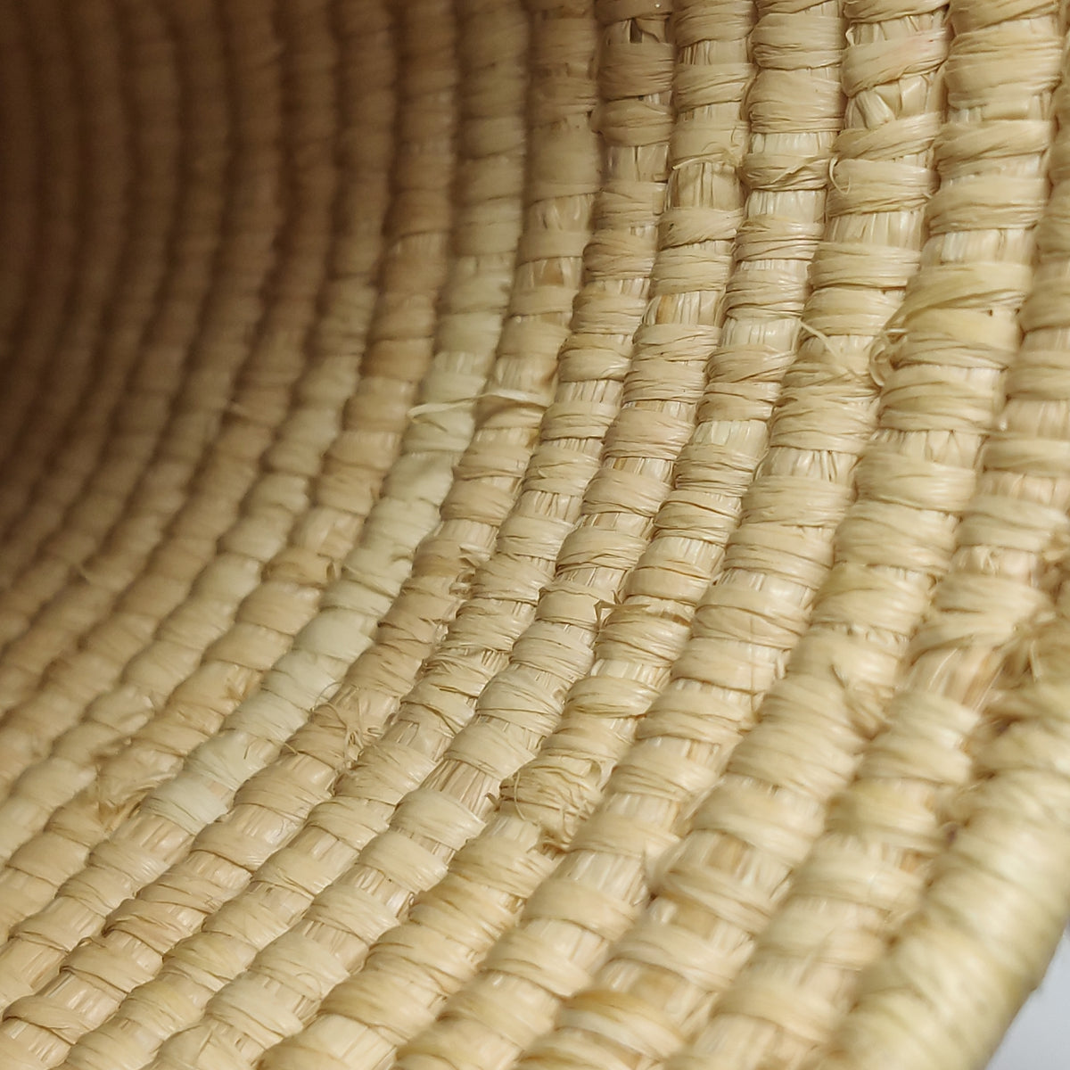 Loewe Raffia Small Square Basket Tote