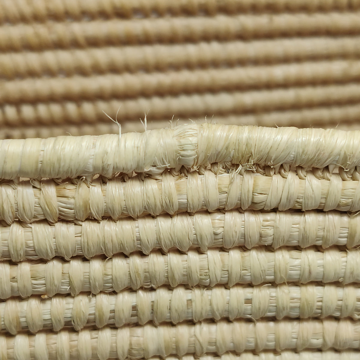 Loewe Raffia Small Square Basket Tote