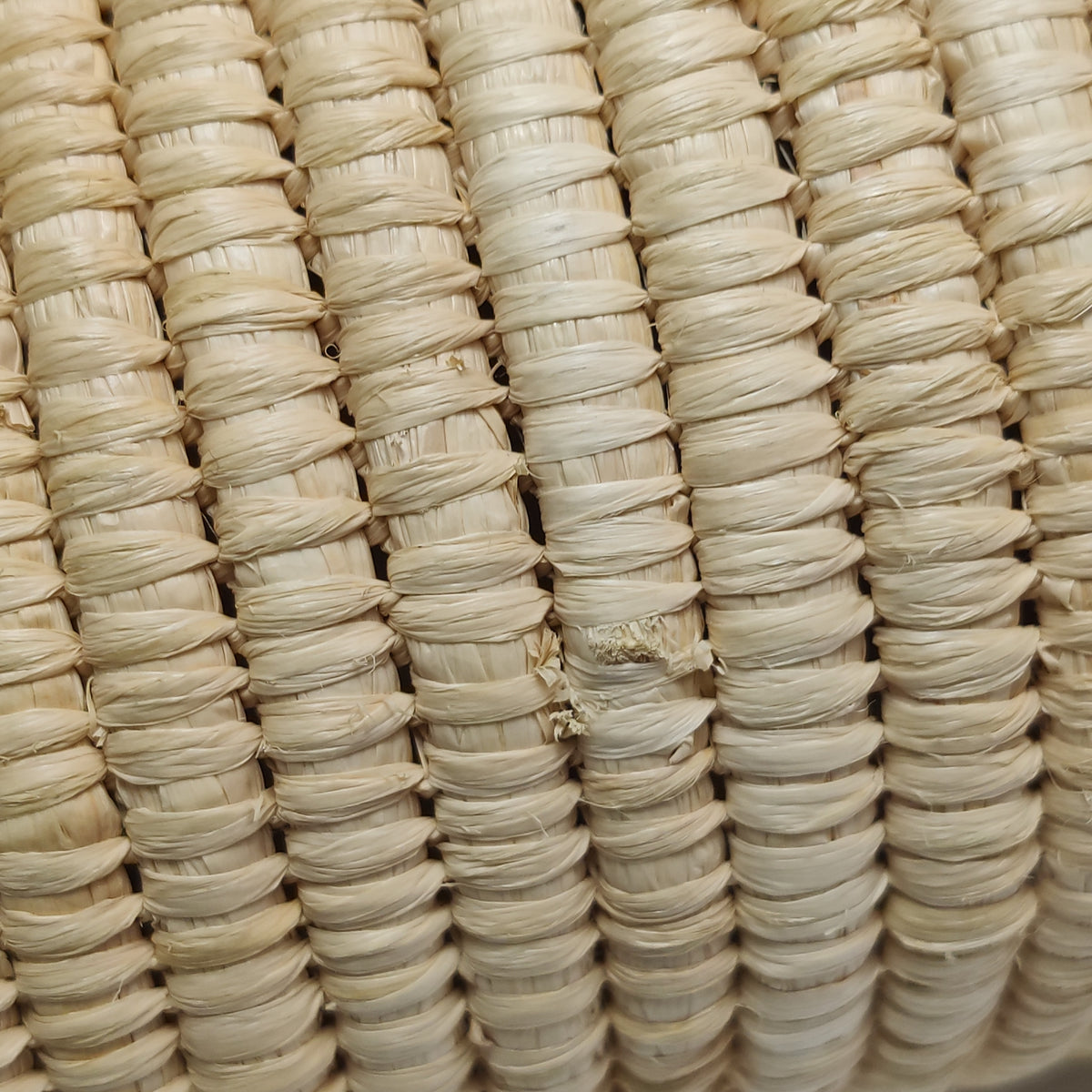 Loewe Raffia Small Square Basket Tote