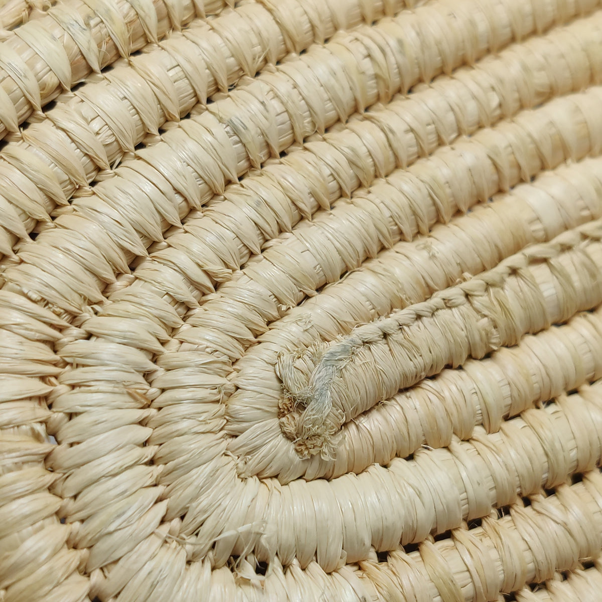 Loewe Raffia Small Square Basket Tote