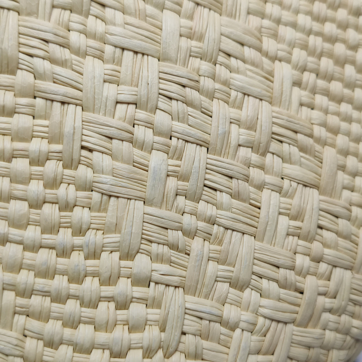 Loewe Square Pocket Raffia Bucket Bag