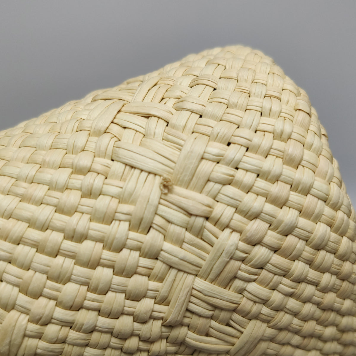 Loewe Square Pocket Raffia Bucket Bag