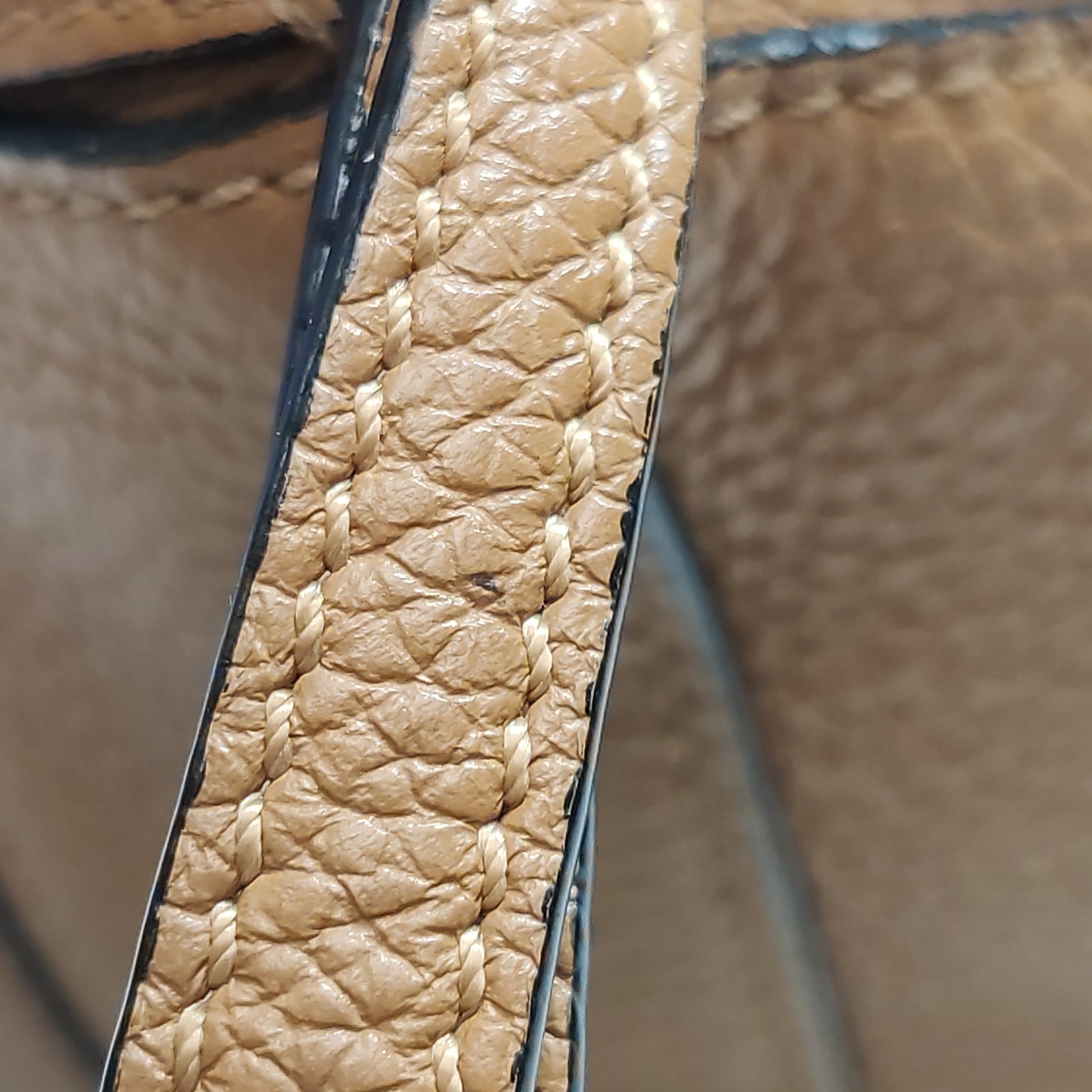 Loewe Puzzle Small Grained Calfskin Jacquard Strap
