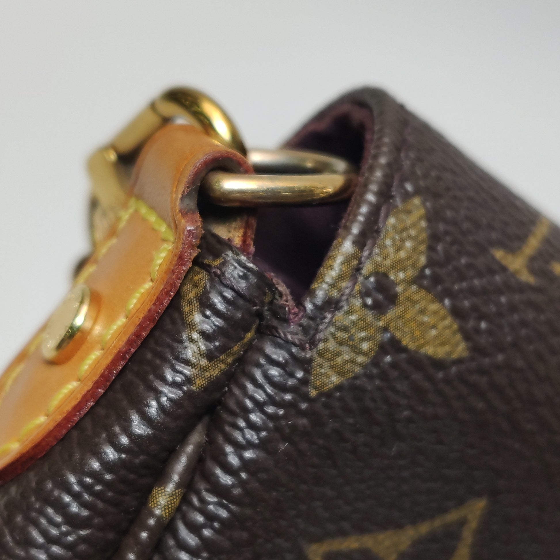 Louis Vuitton Favorite PM Monogram