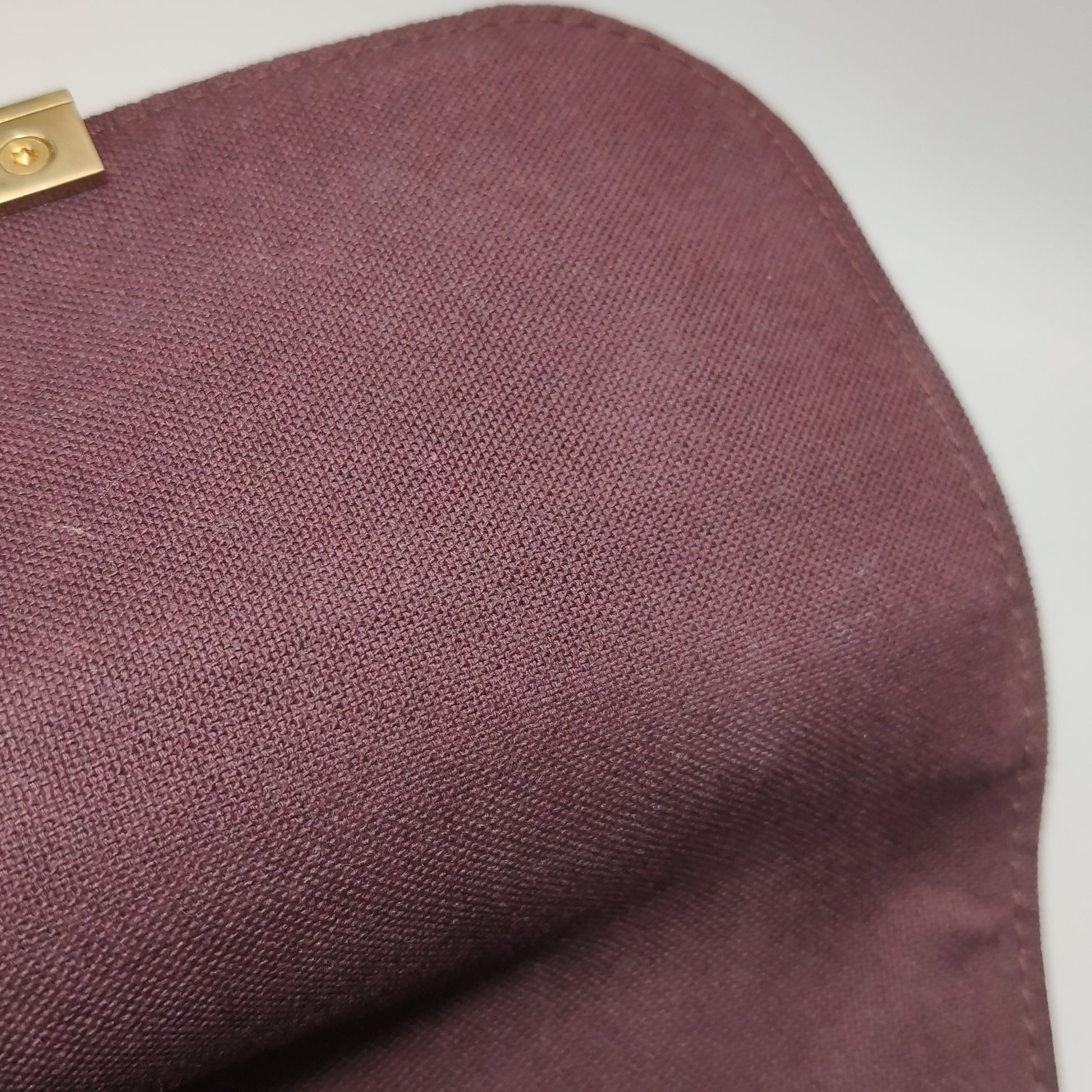 Louis Vuitton Favorite PM Monogram