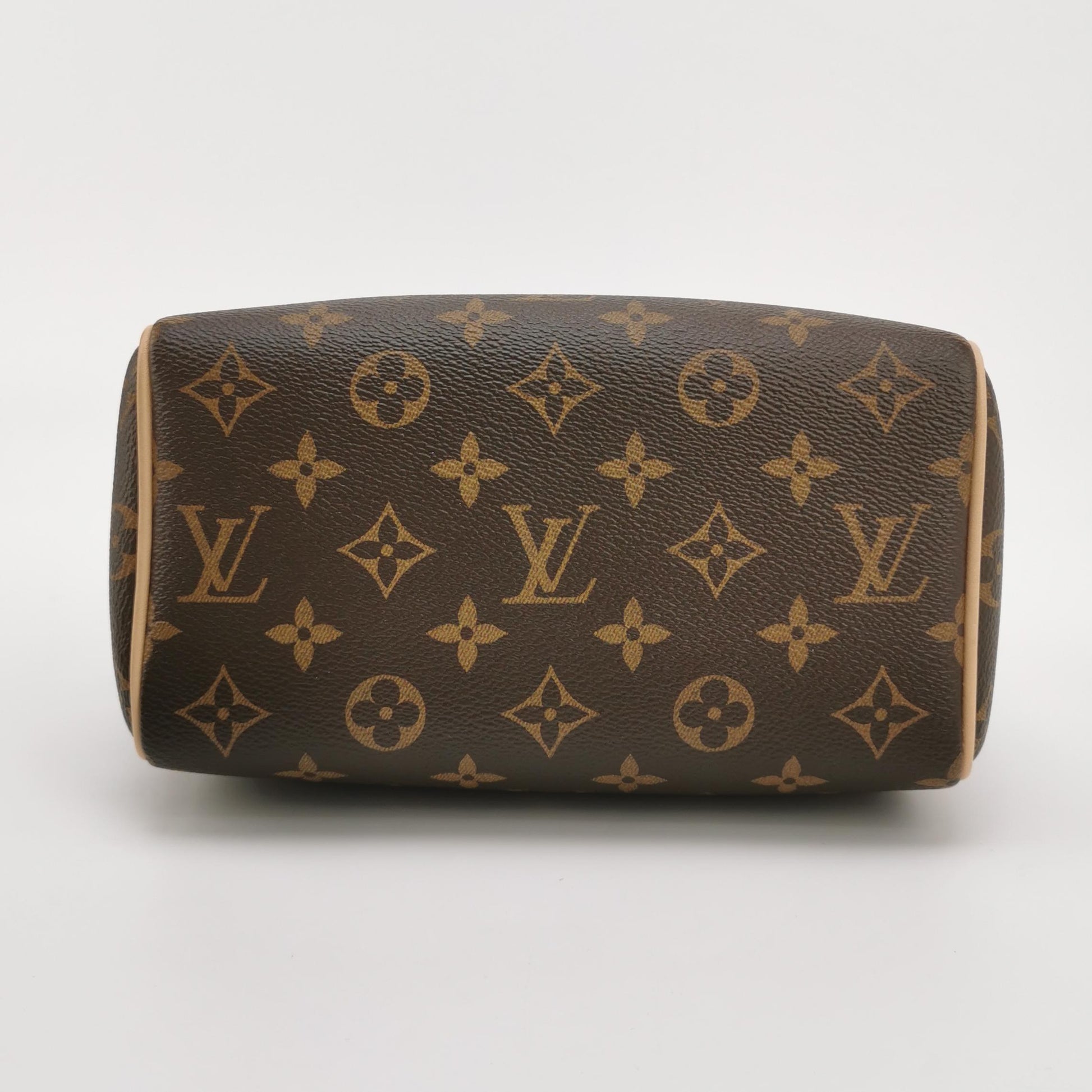 Louis Vuitton Speedy 20 Monogram