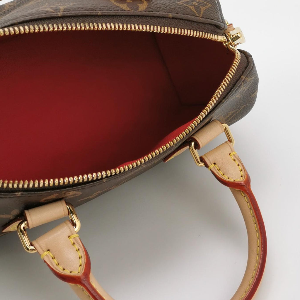 Louis Vuitton Speedy 20 Monogram