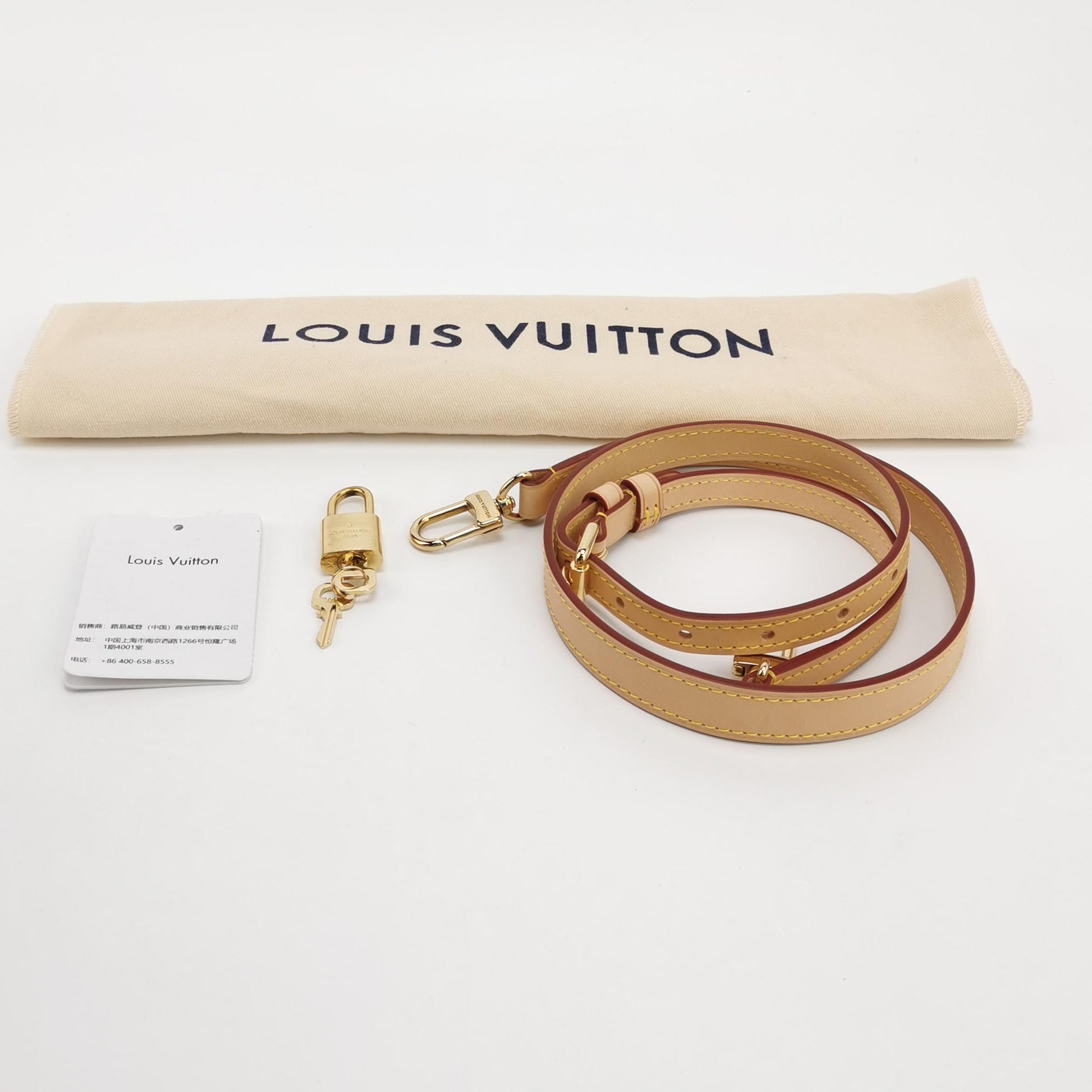 Louis Vuitton Speedy 20 Monogram