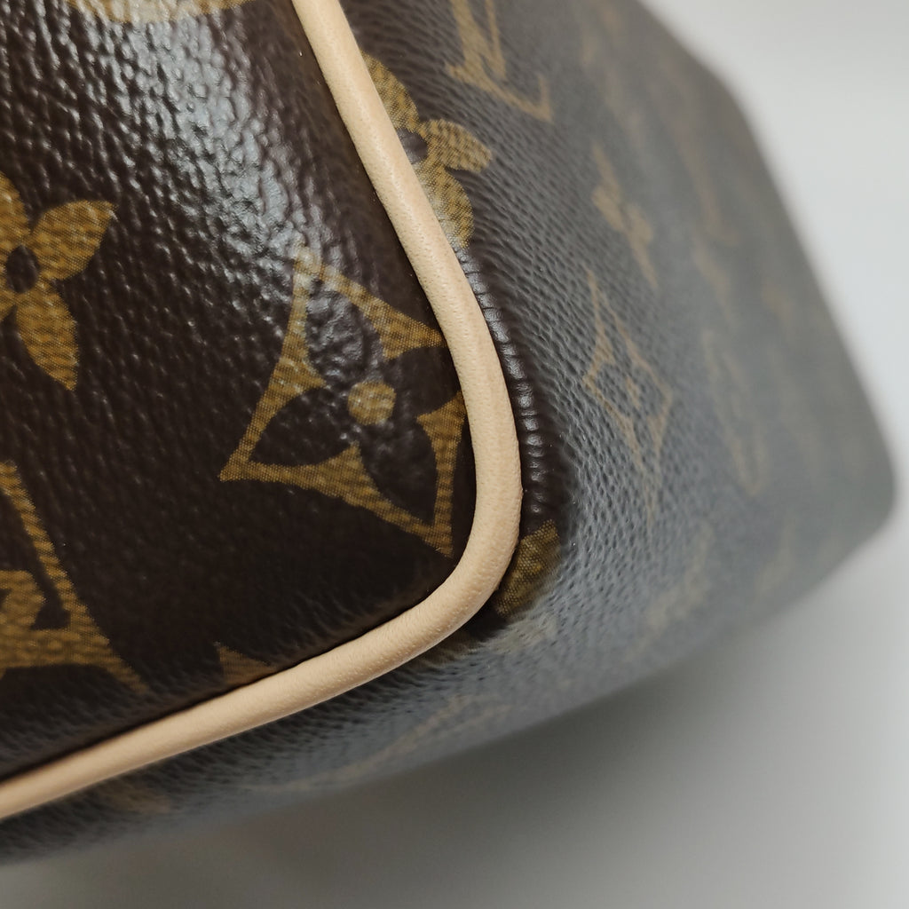 Louis Vuitton Speedy 20 Monogram
