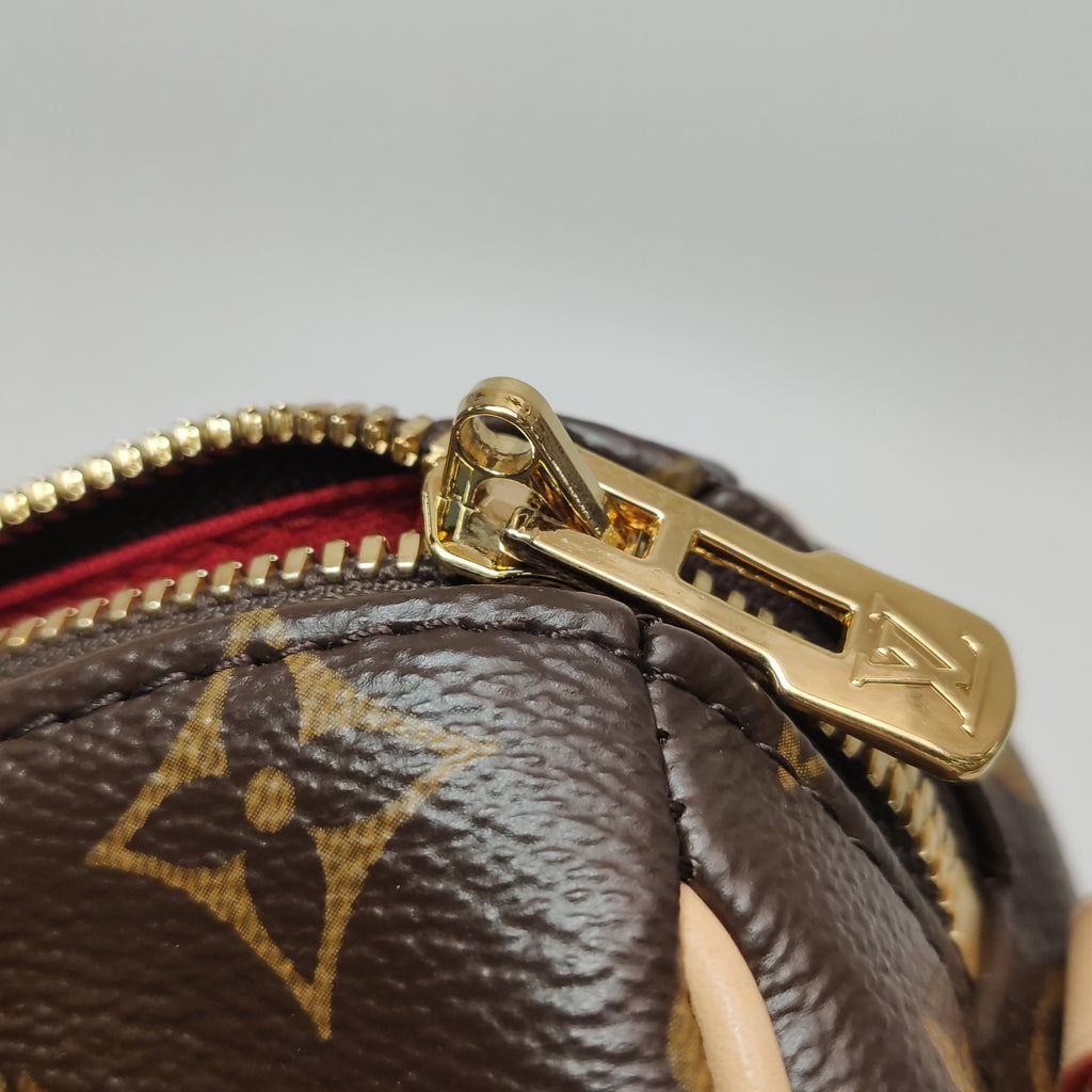 Louis Vuitton Speedy 20 Monogram