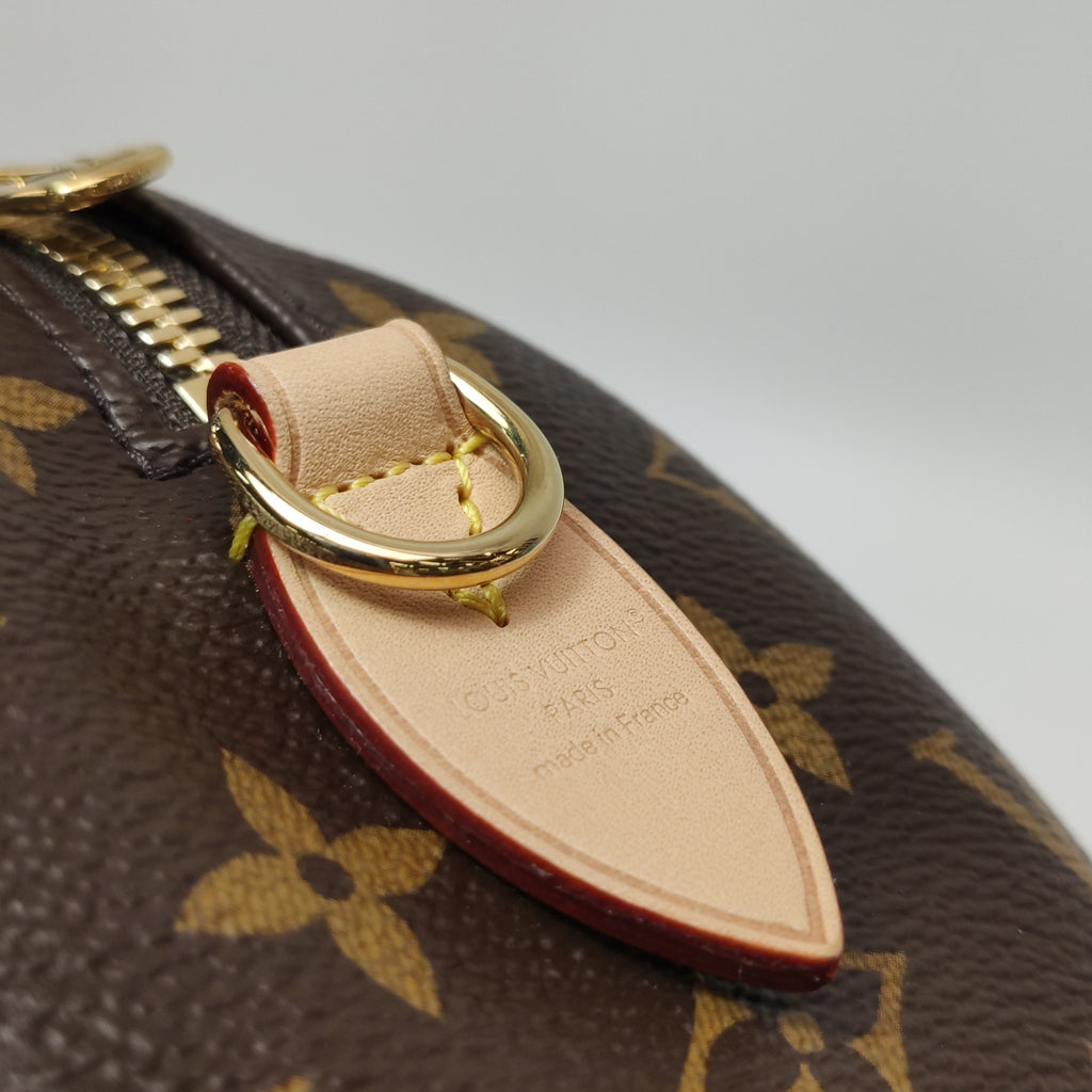 Louis Vuitton Speedy 20 Monogram