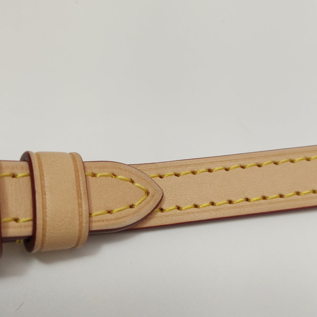 Louis Vuitton Speedy 20 Monogram