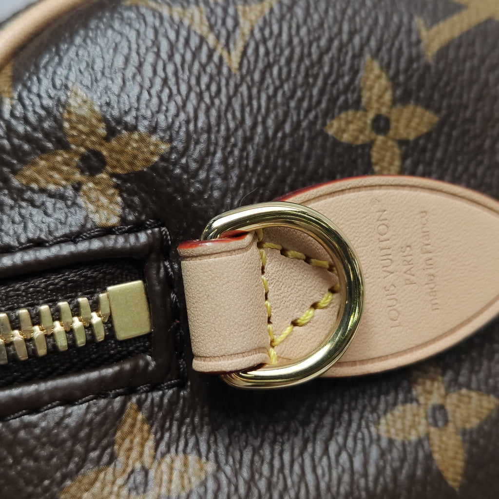 Louis Vuitton Speedy 20 Monogram